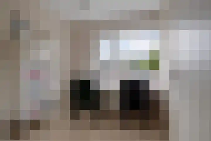 Wildenborch 22 Lelystad thumbnail 21
