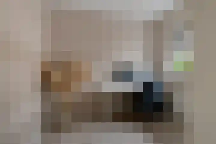 Wildenborch 22 Lelystad thumbnail 23
