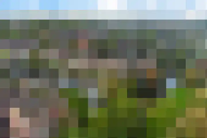 Wildenborch 22 Lelystad thumbnail 42