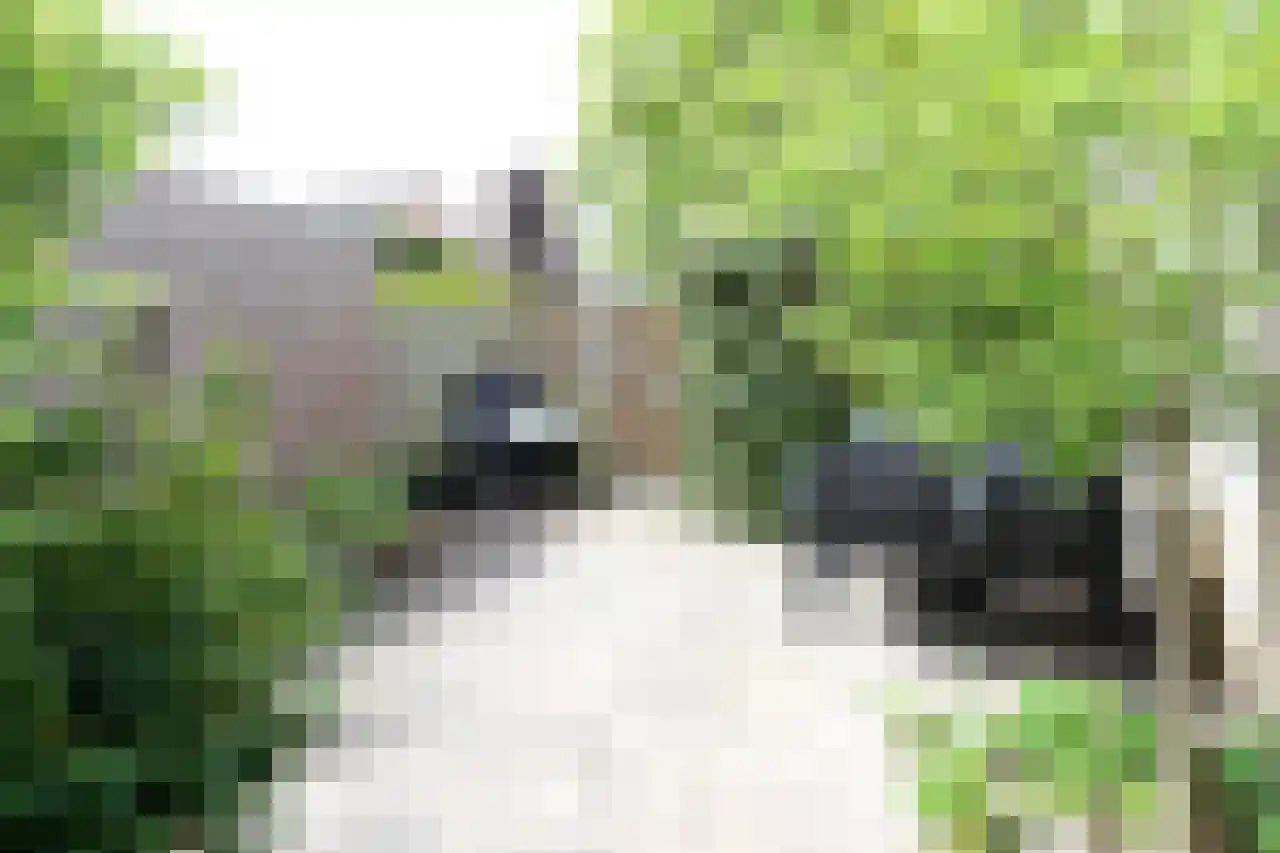 Wildenborch 25 Leidschendam thumbnail 15