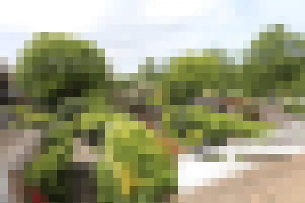 Wildenborch 25 Leidschendam thumbnail 32
