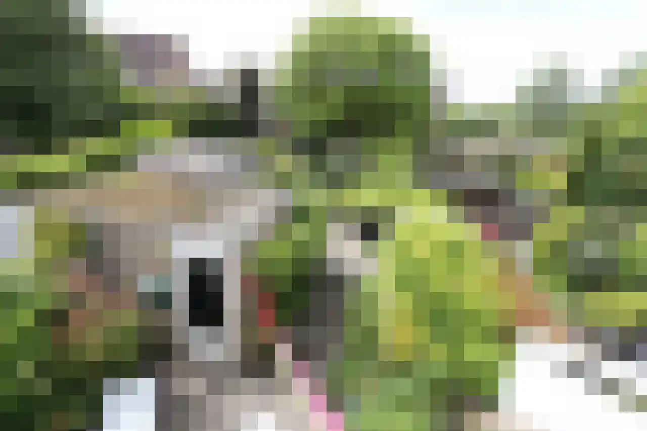 Wildenborch 25 Leidschendam thumbnail 33