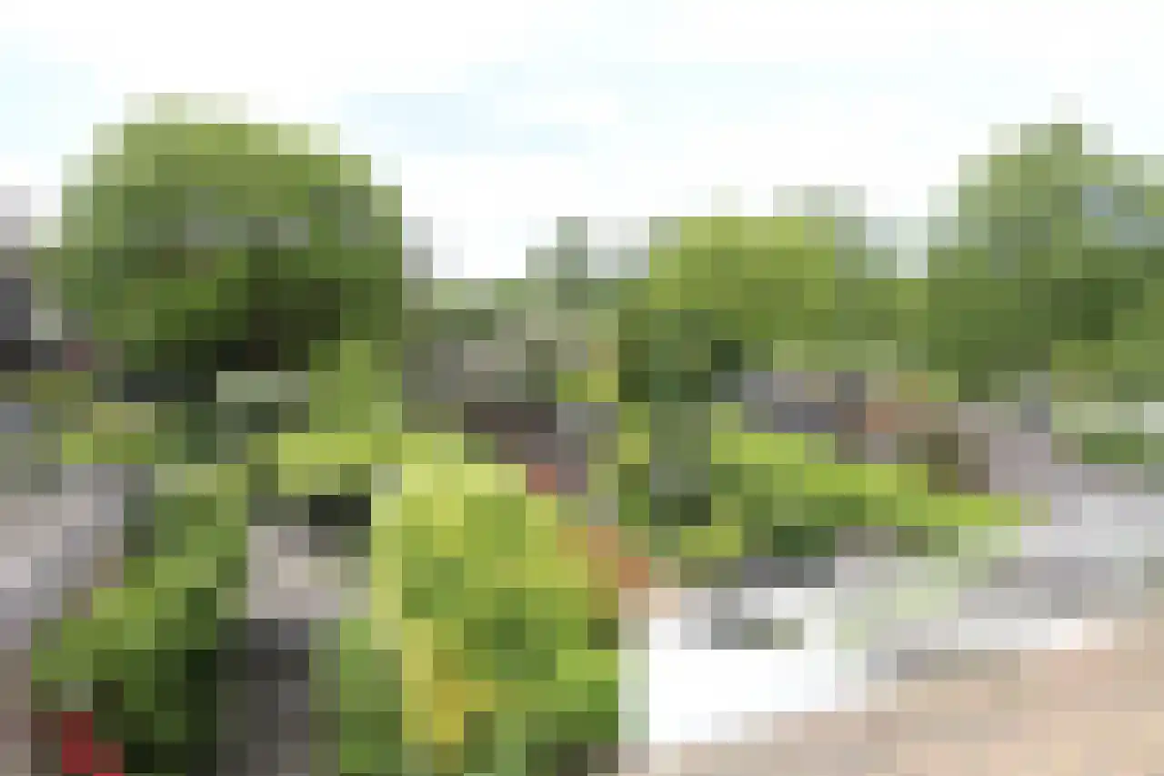 Wildenborch 25 Leidschendam thumbnail 34