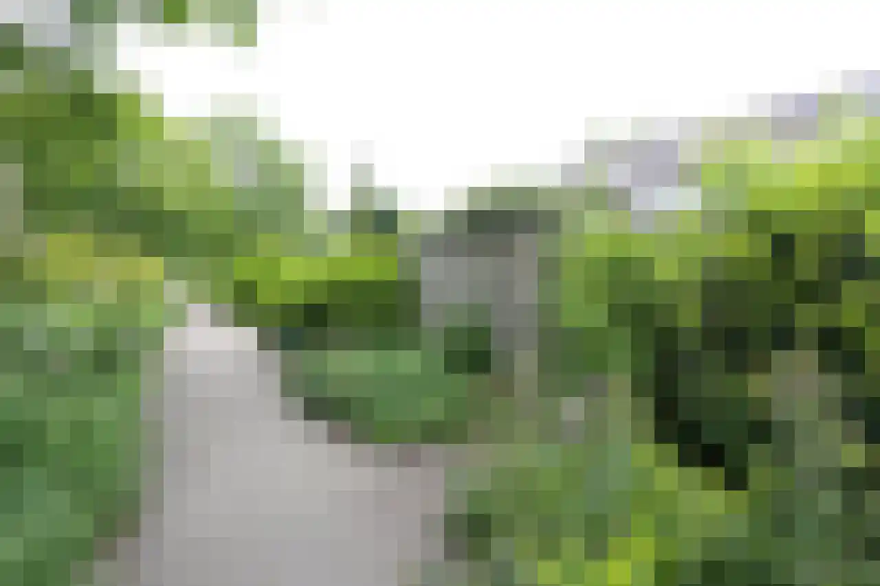 Wildenborch 25 Leidschendam thumbnail 36