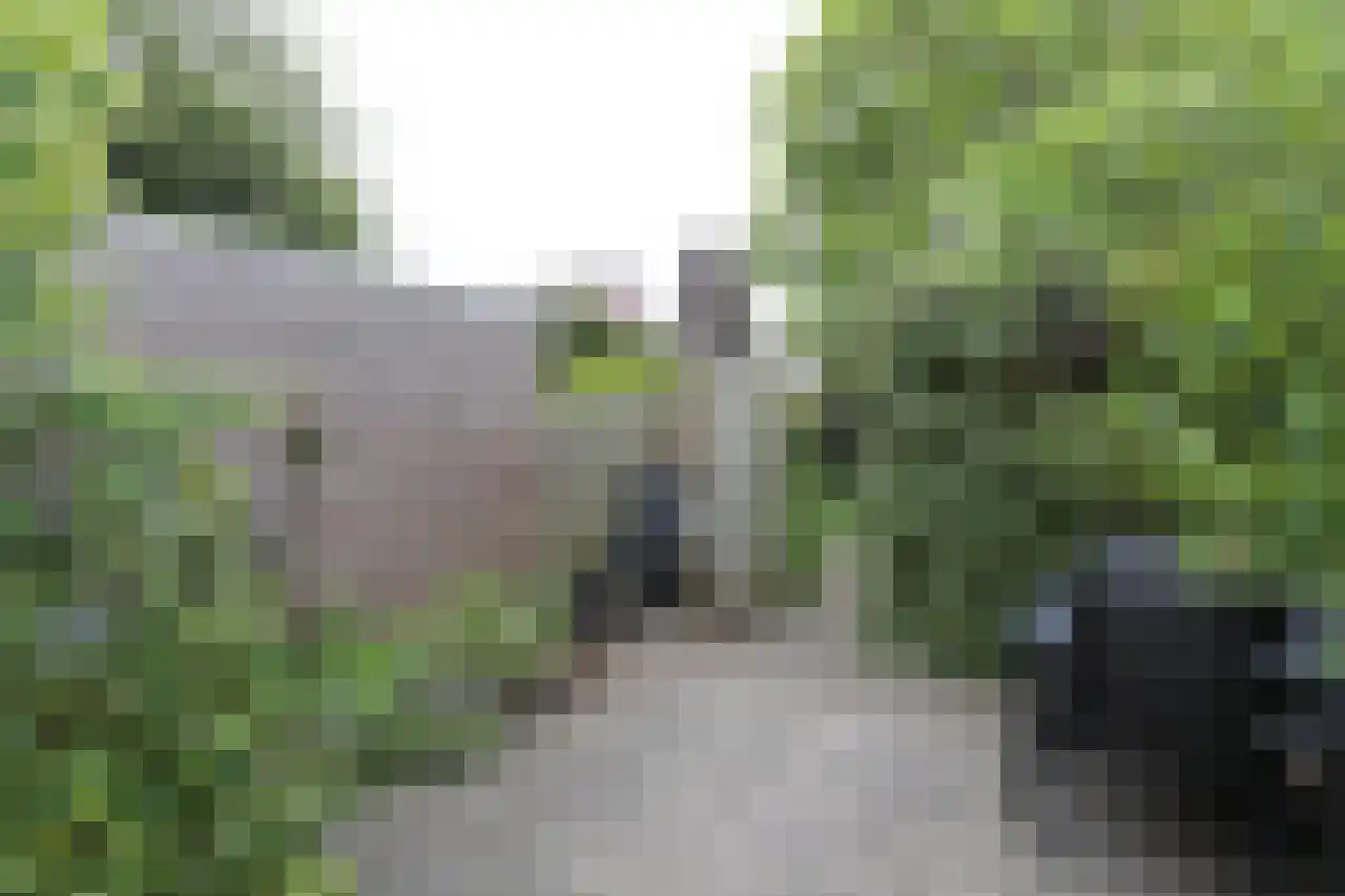 Wildenborch 25 Leidschendam thumbnail 37
