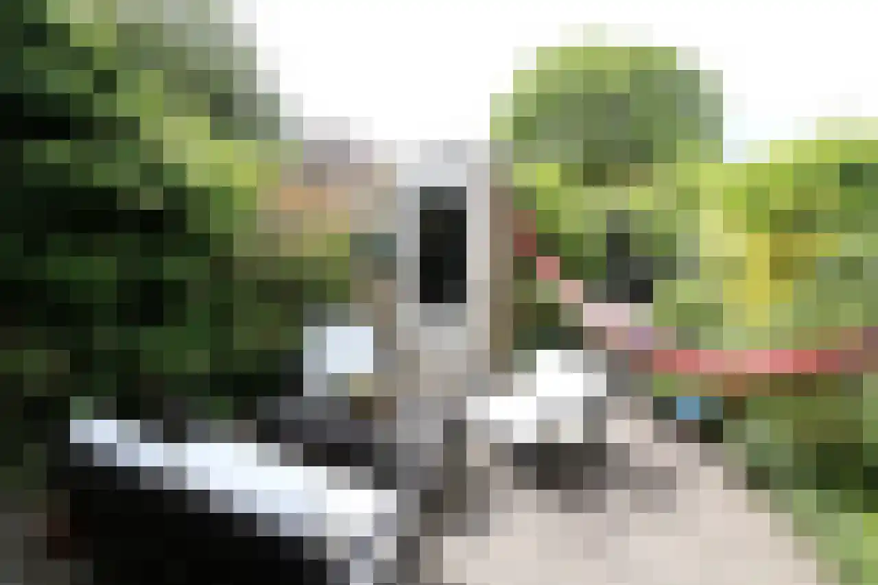 Wildenborch 25 Leidschendam thumbnail 6
