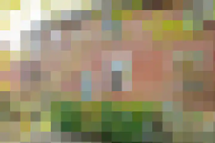Wildenborch 31 Doetinchem thumbnail 33