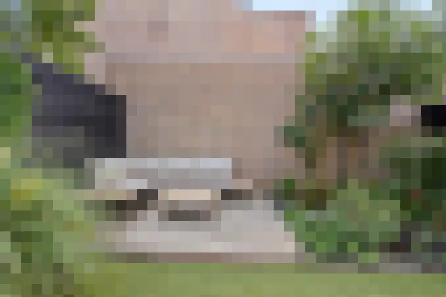 Wildenborch 32 Leidschendam thumbnail 26