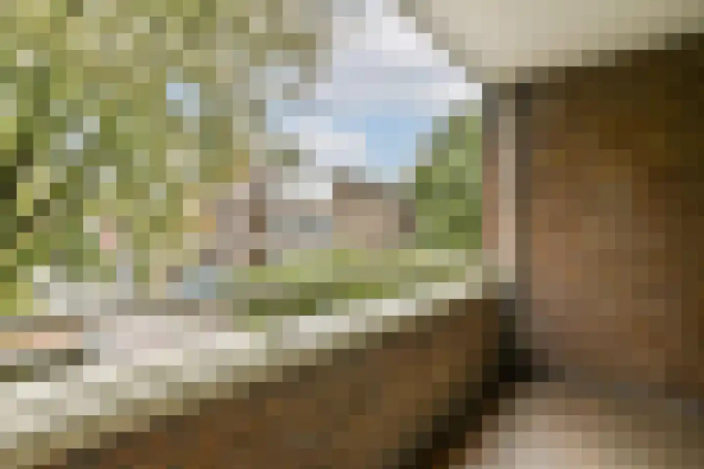 Wildenborch 47 Amsterdam thumbnail 6