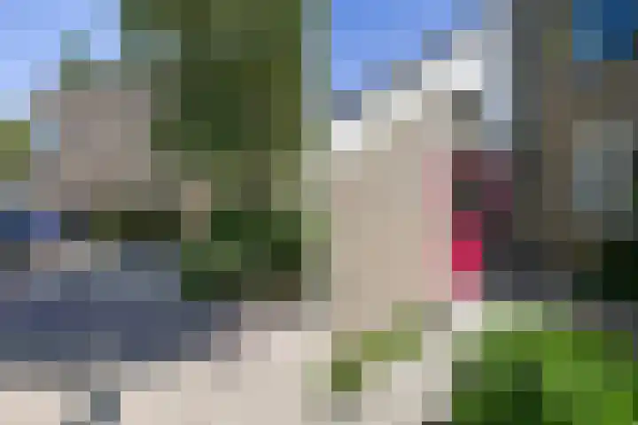 Wildenborch 52 Leidschendam thumbnail 7
