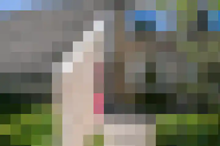 Wildenborch 52 Leidschendam thumbnail 8