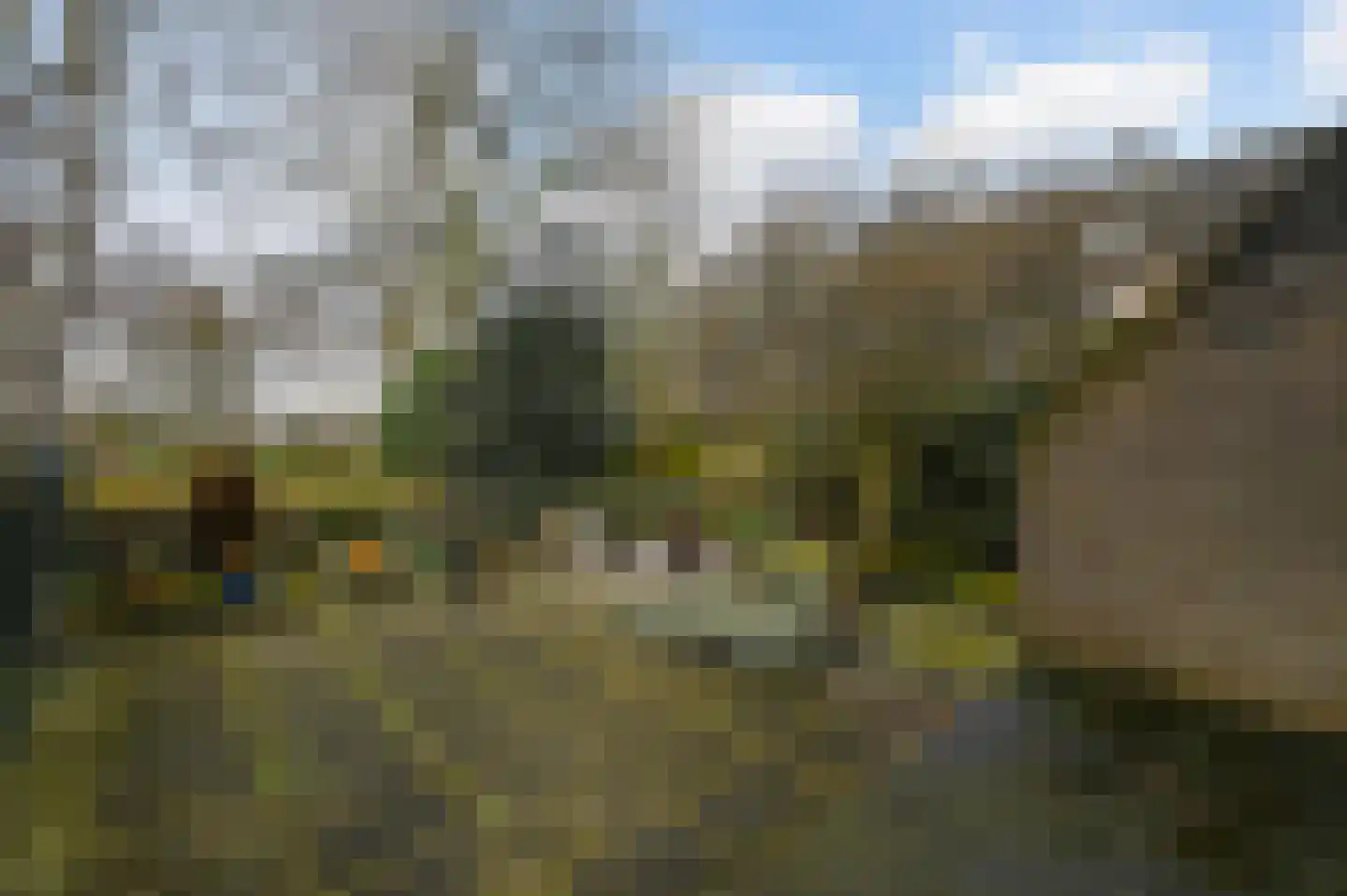 Wildenborch 7 Leidschendam thumbnail 12