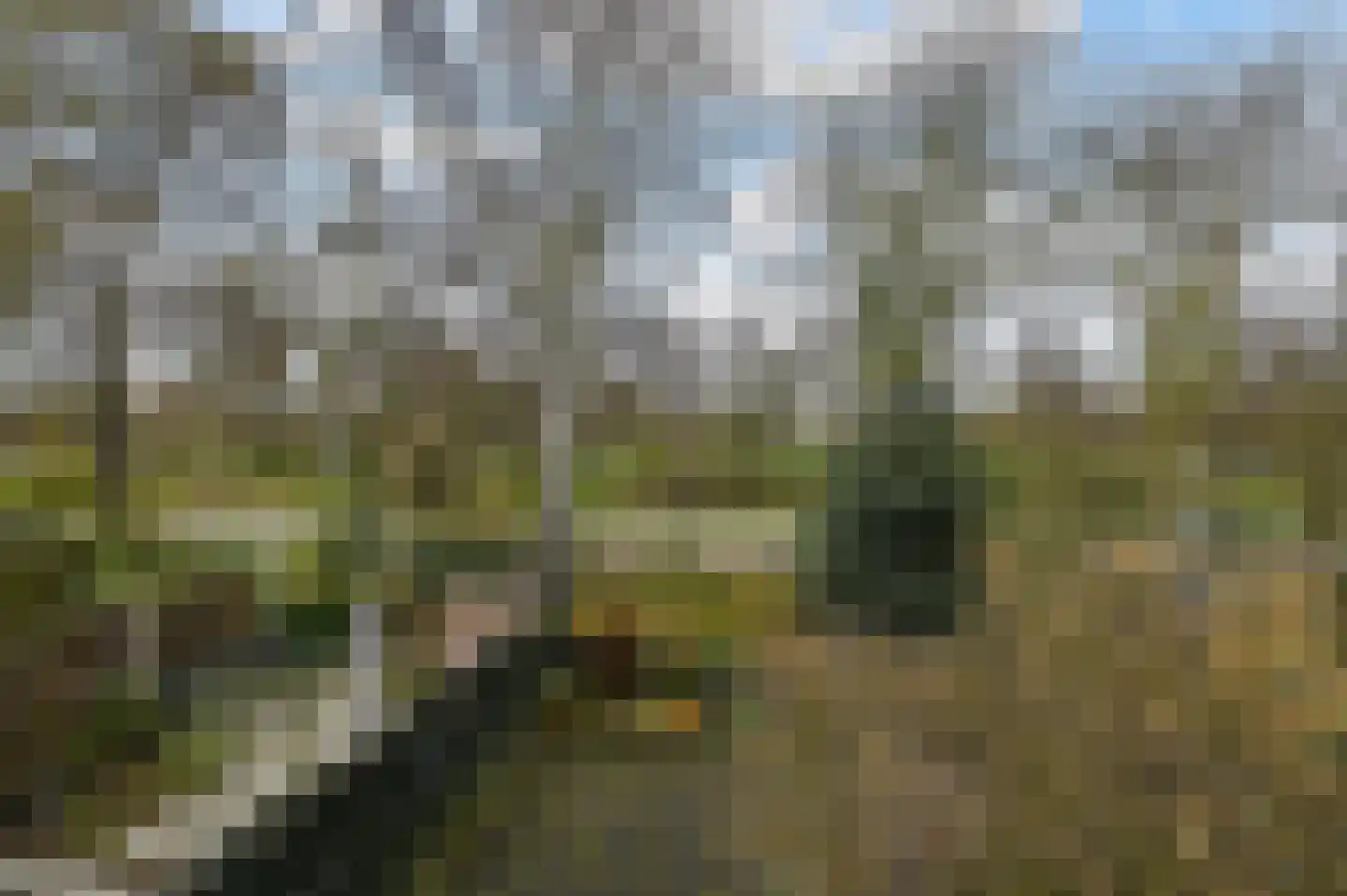 Wildenborch 7 Leidschendam thumbnail 31