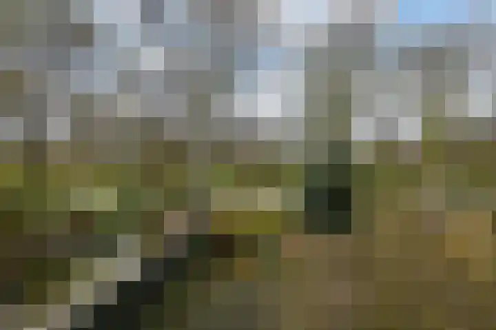 Wildenborch 7 Leidschendam thumbnail 31