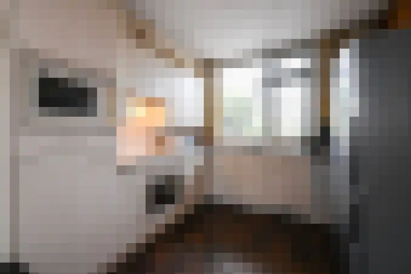 Wildenborch 7 Leidschendam thumbnail 9
