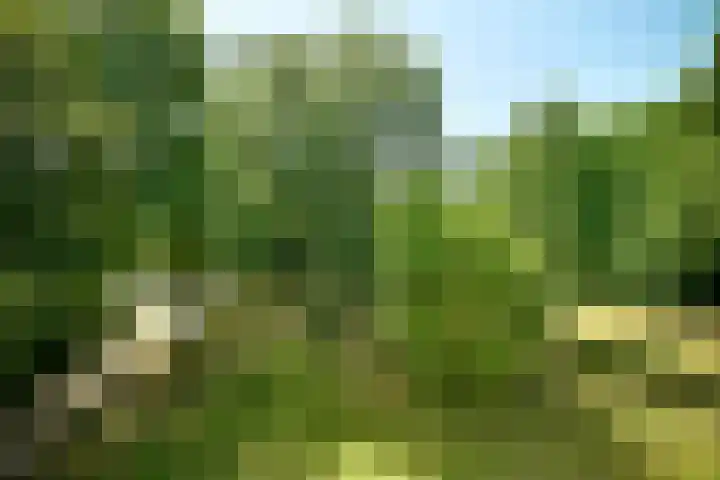Wildenborch 77 Amsterdam thumbnail 12