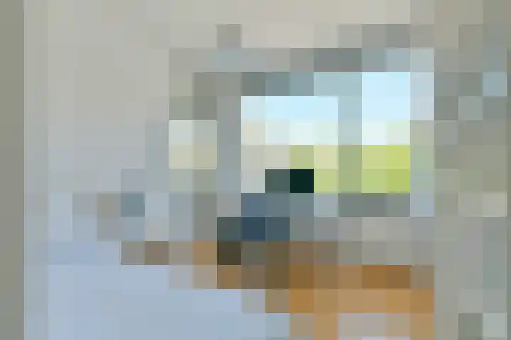 Wildenborch 77 Amsterdam thumbnail 23