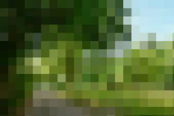 Wildenborch 77 Amsterdam thumbnail 4