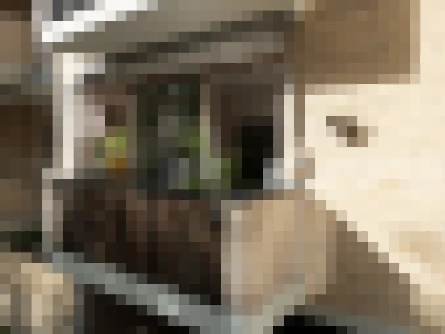 Wildenborch 8 Amsterdam thumbnail 5