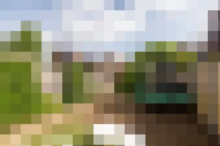 Wildenborch 8 Doetinchem thumbnail 14