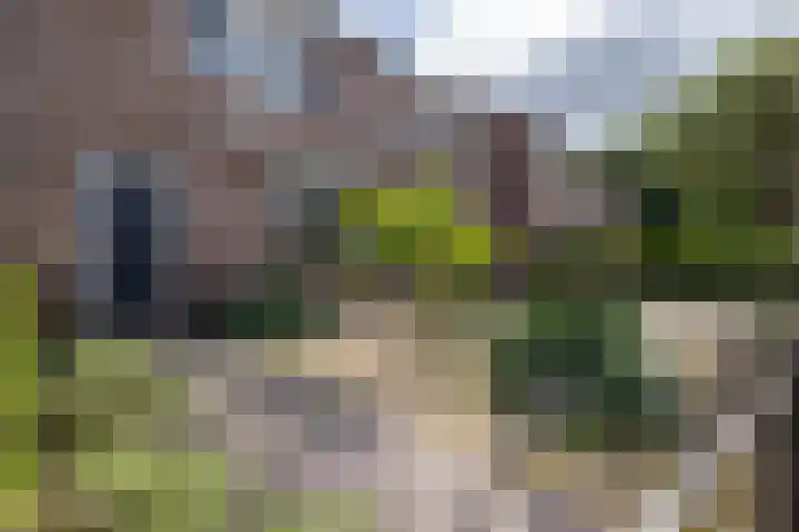 Wildenborch 8 Doetinchem thumbnail 18