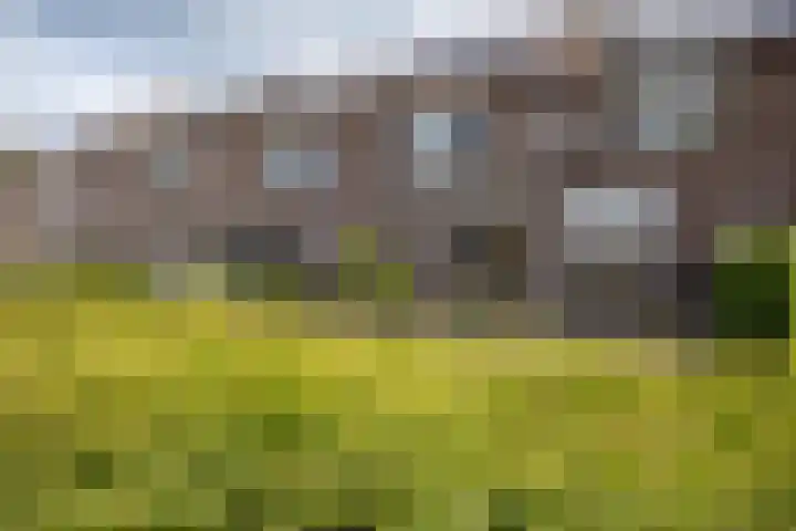 Wildenborch 8 Doetinchem thumbnail 39