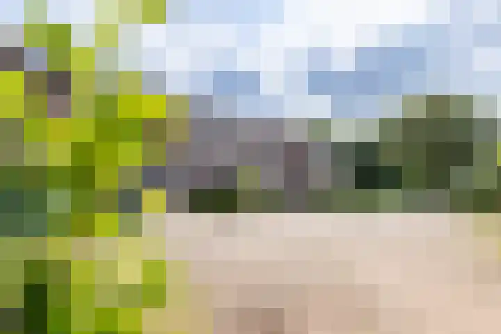 Wildenborch 8 Doetinchem thumbnail 41