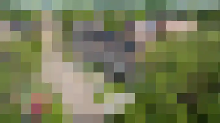 Wildenborch 8 Doetinchem thumbnail 44