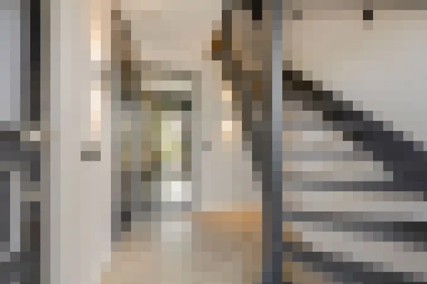 Wildenborchallee 47 Duiven thumbnail 10