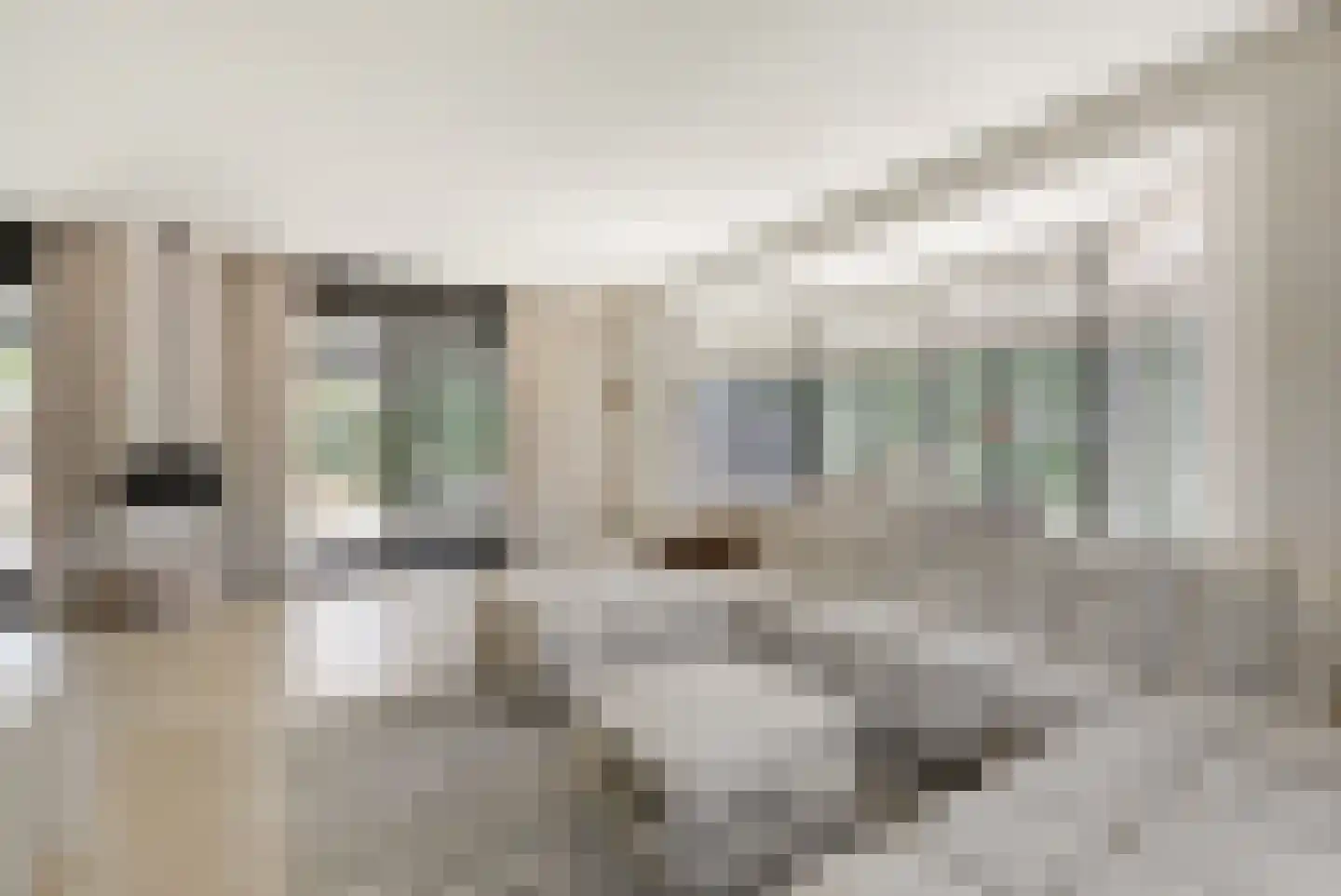 Wildenborchallee 47 Duiven thumbnail 16