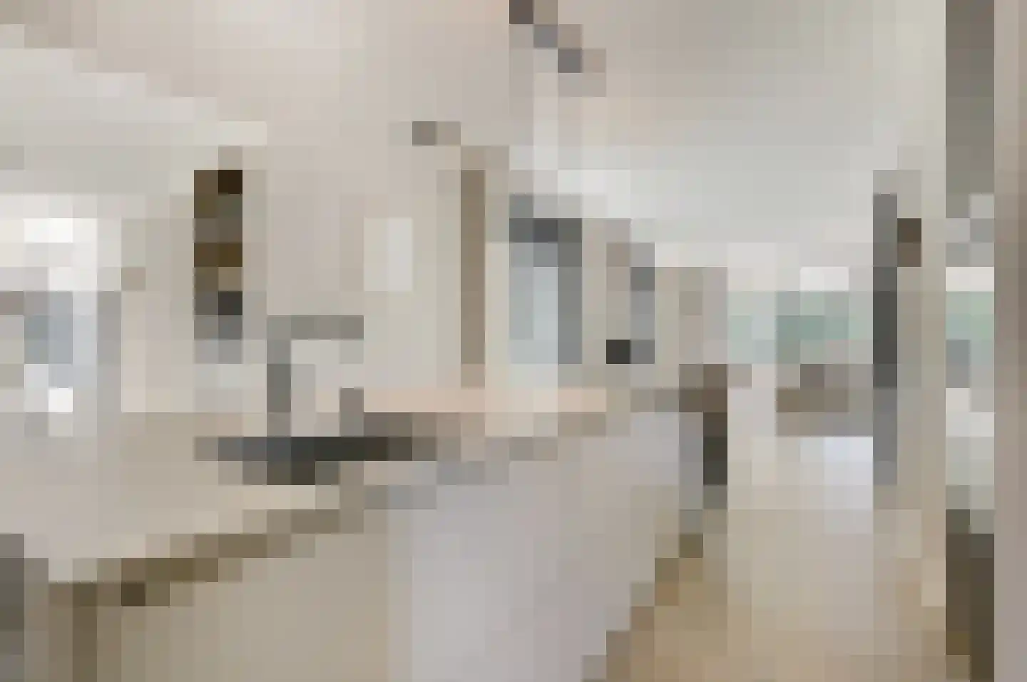 Wildenborchallee 47 Duiven thumbnail 23