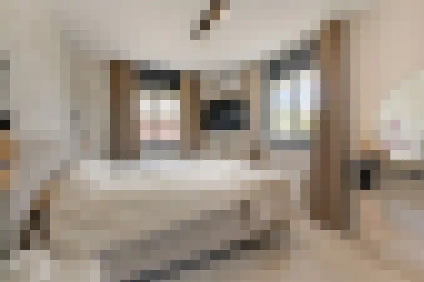 Wildenborchallee 47 Duiven thumbnail 38