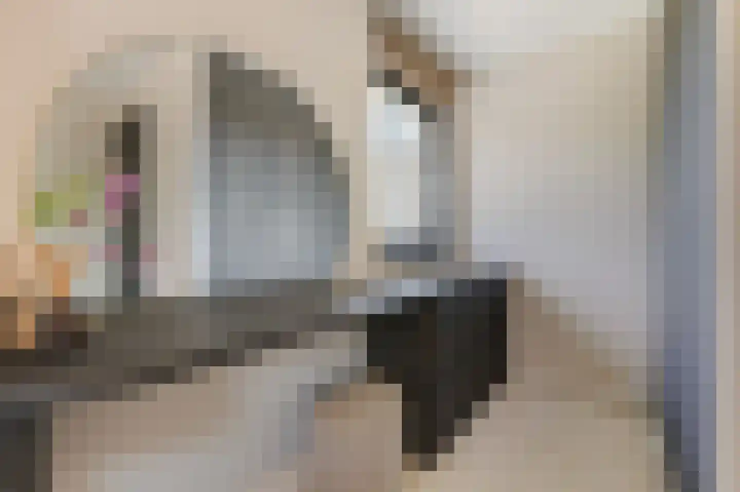 Wildenborchallee 47 Duiven thumbnail 41
