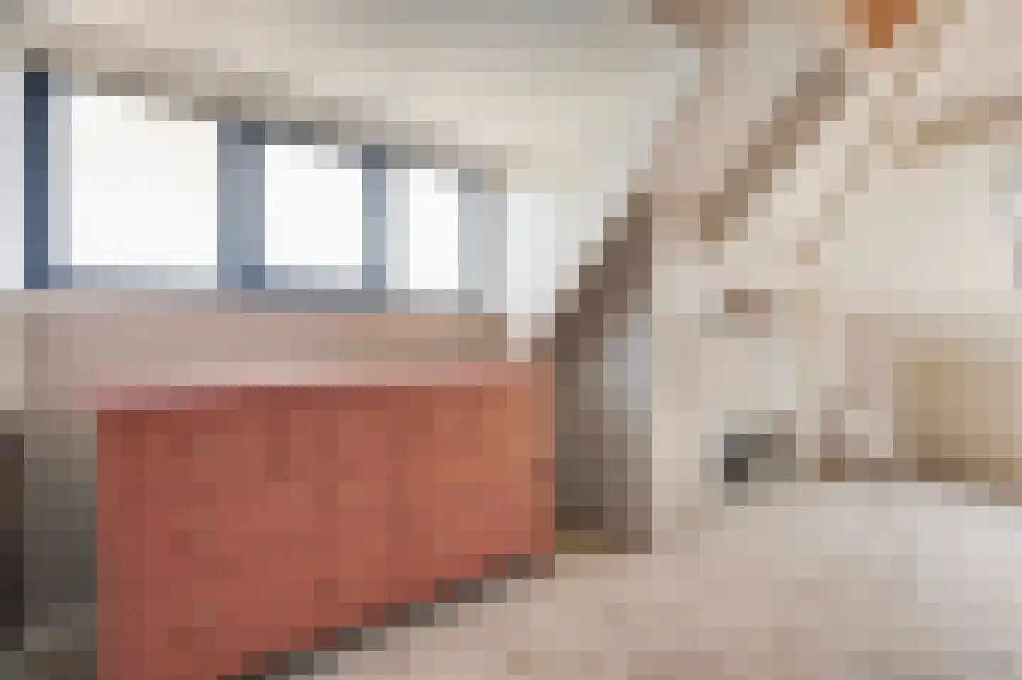 Wildenborchallee 47 Duiven thumbnail 56