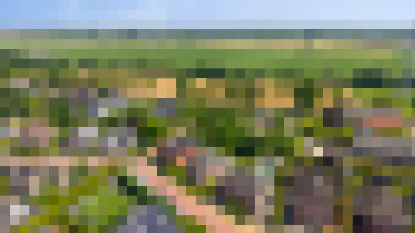 Wildenborchallee 47 Duiven thumbnail 6