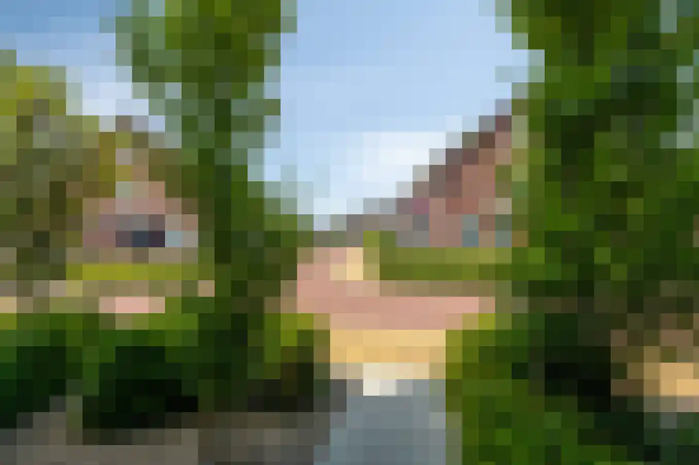 Wildenborchallee 47 Duiven thumbnail 93