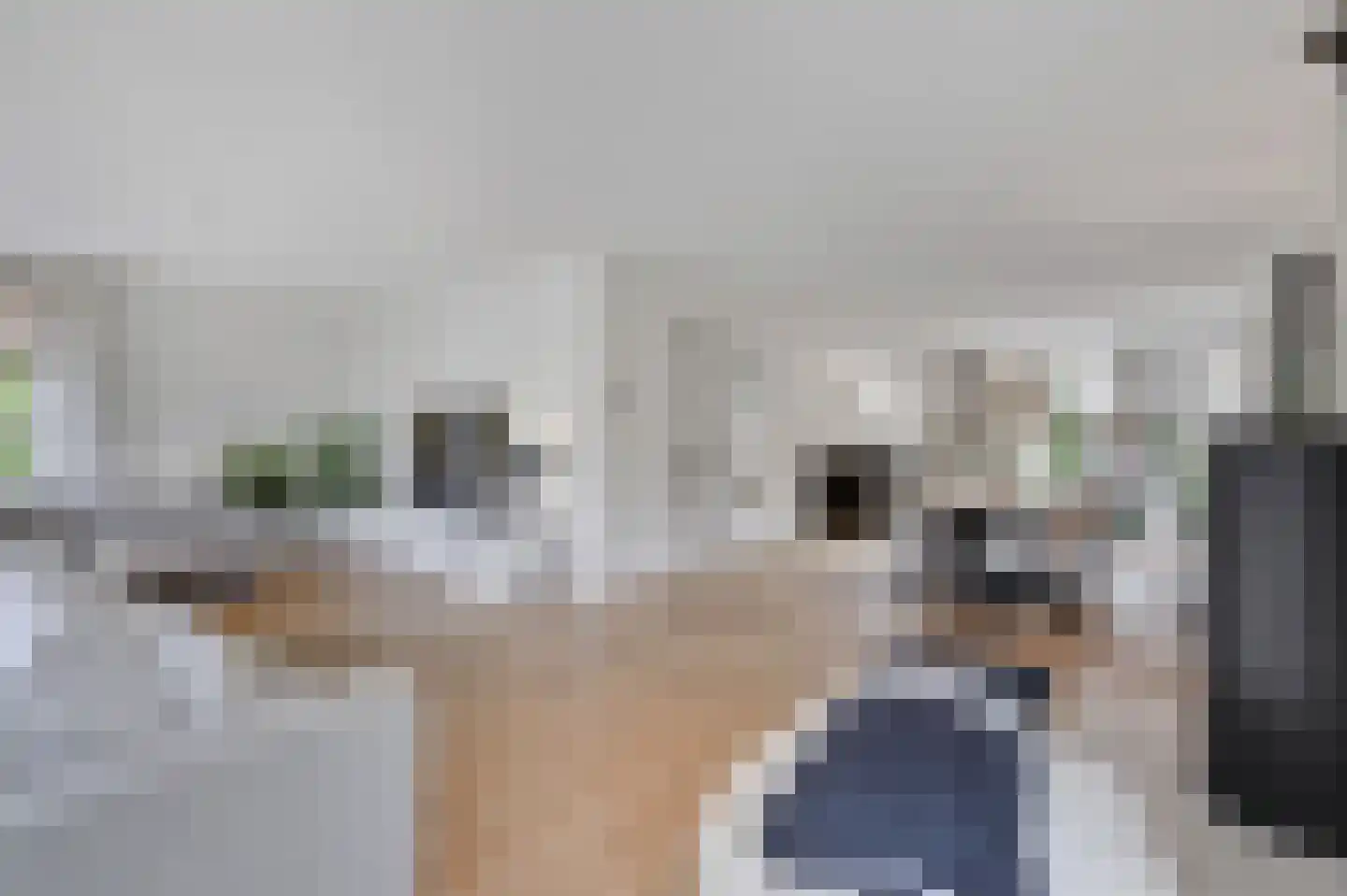 Wildenborchallee 61 Duiven thumbnail 22