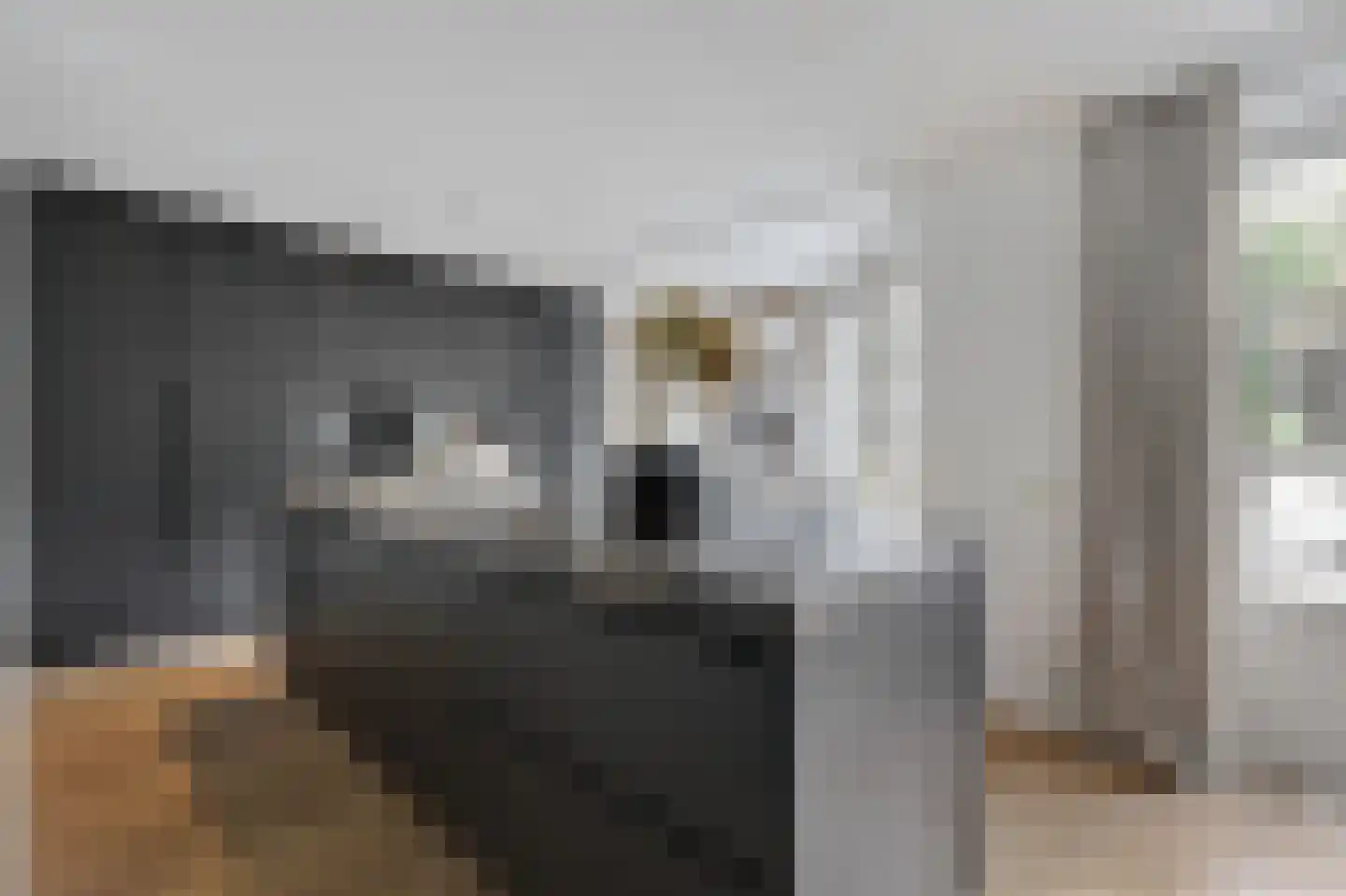 Wildenborchallee 61 Duiven thumbnail 31