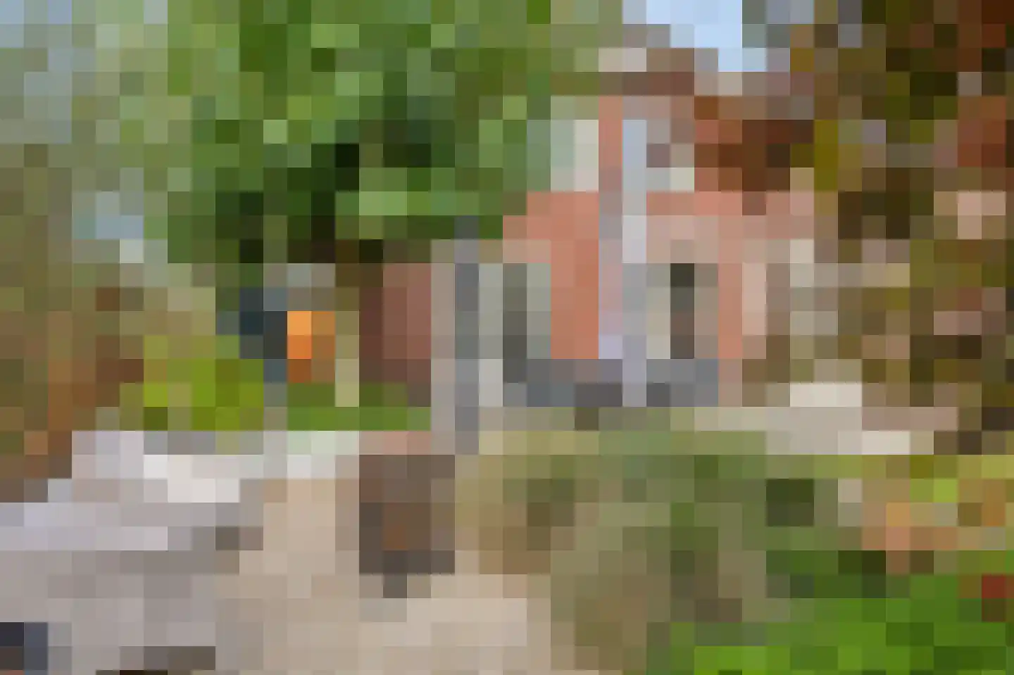Wildenborchallee 61 Duiven thumbnail 46