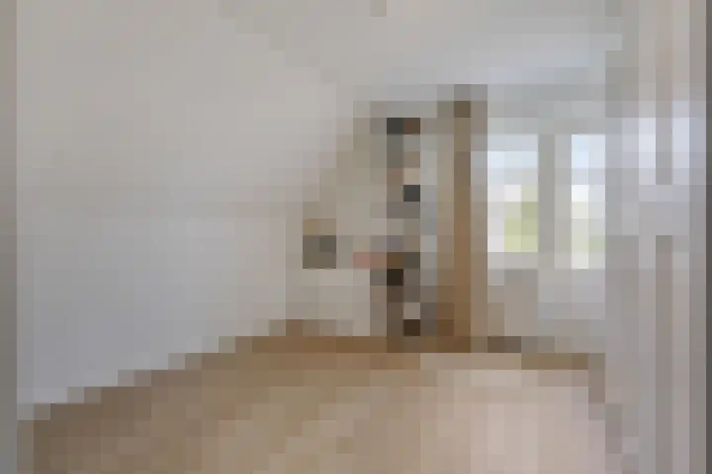 Wildenborchallee 61 Duiven thumbnail 61