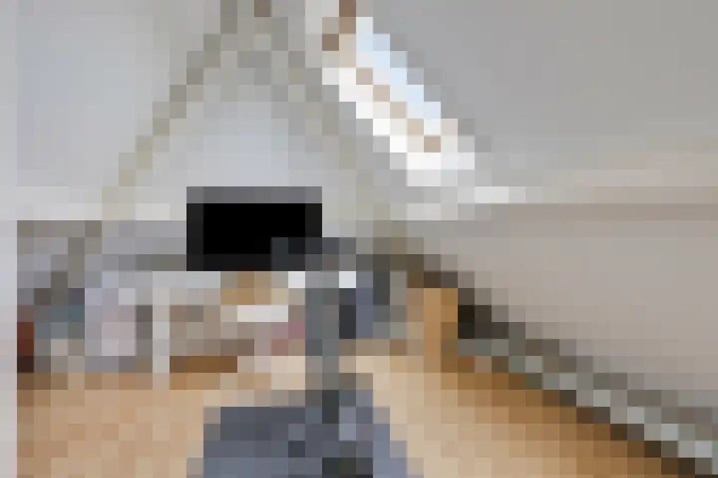 Wildenborchallee 61 Duiven thumbnail 75