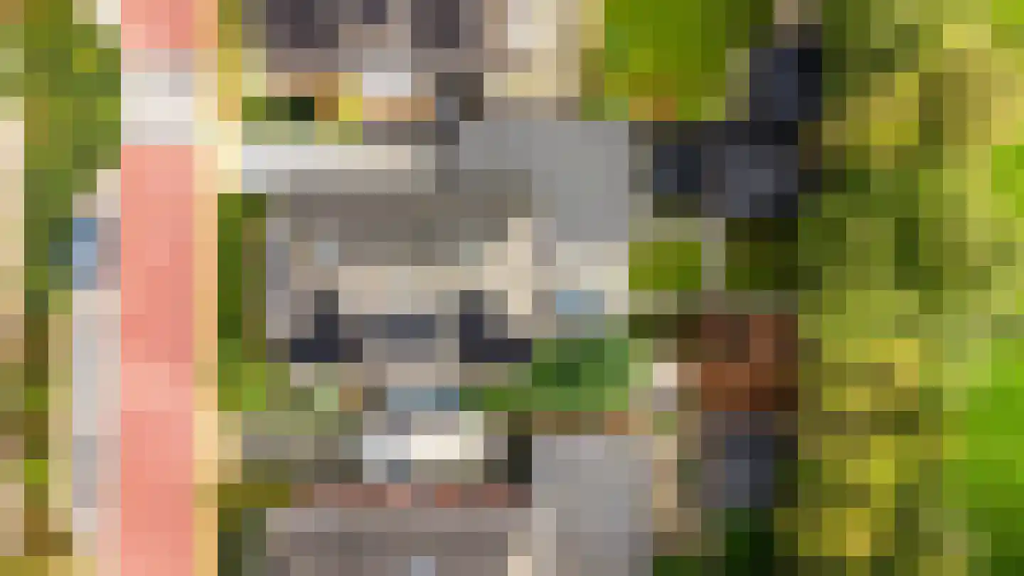 Wildenborchallee 61 Duiven thumbnail 77
