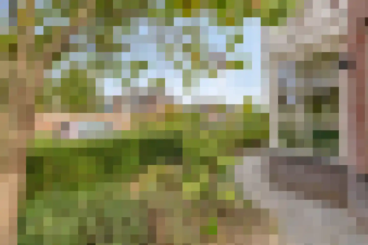 Wildenborchallee 61 Duiven thumbnail 81