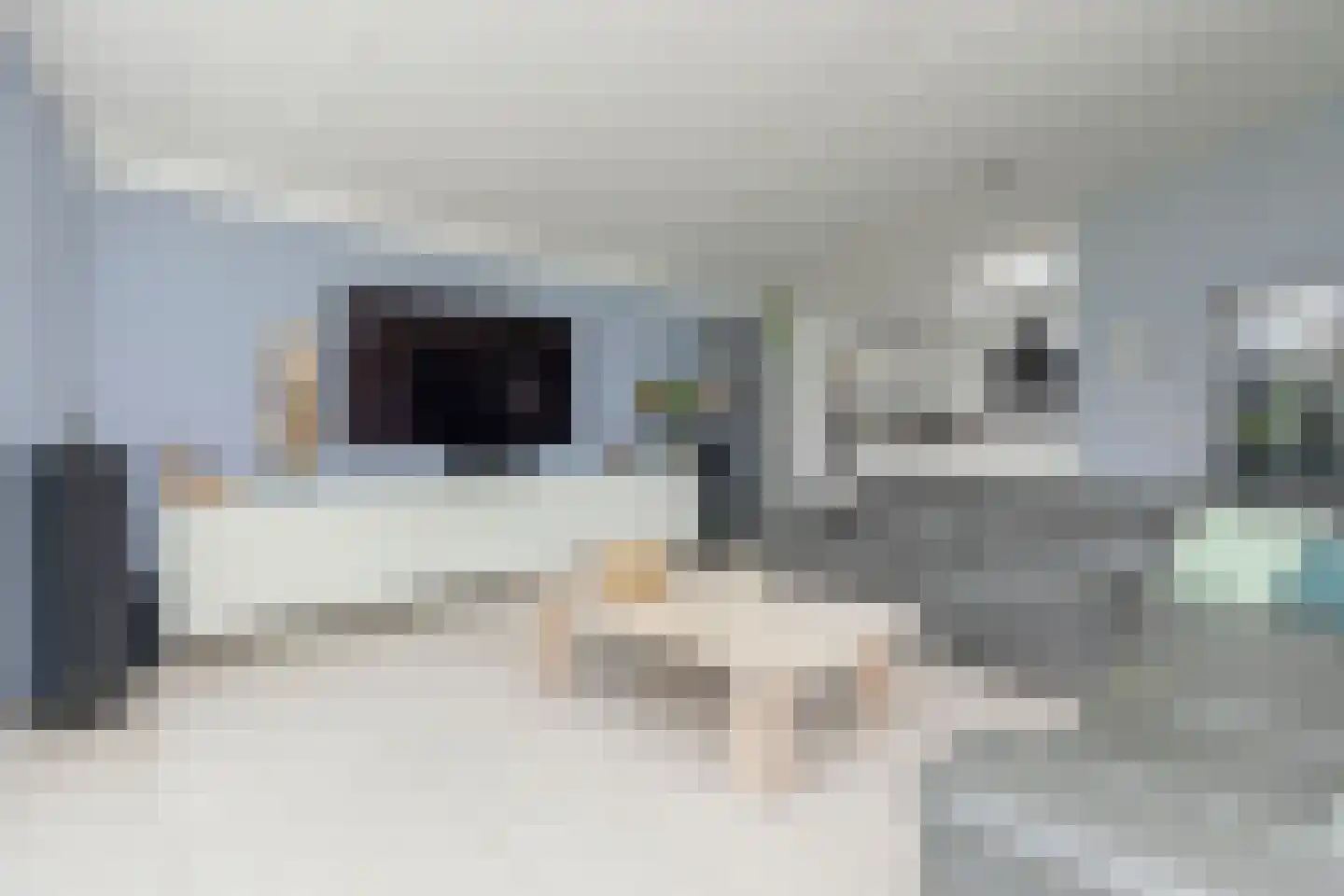 Wildenborchlaan 10 Spijkenisse thumbnail 17