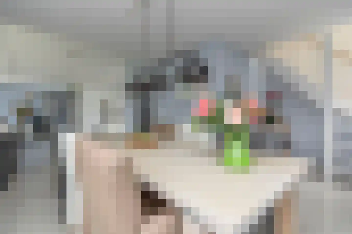 Wildenborchlaan 10 Spijkenisse thumbnail 20