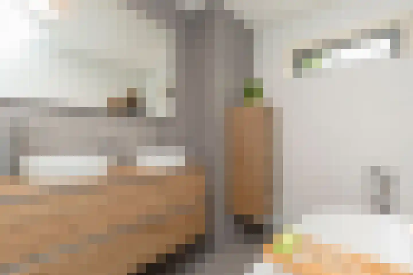Wildenborchlaan 10 Spijkenisse thumbnail 32