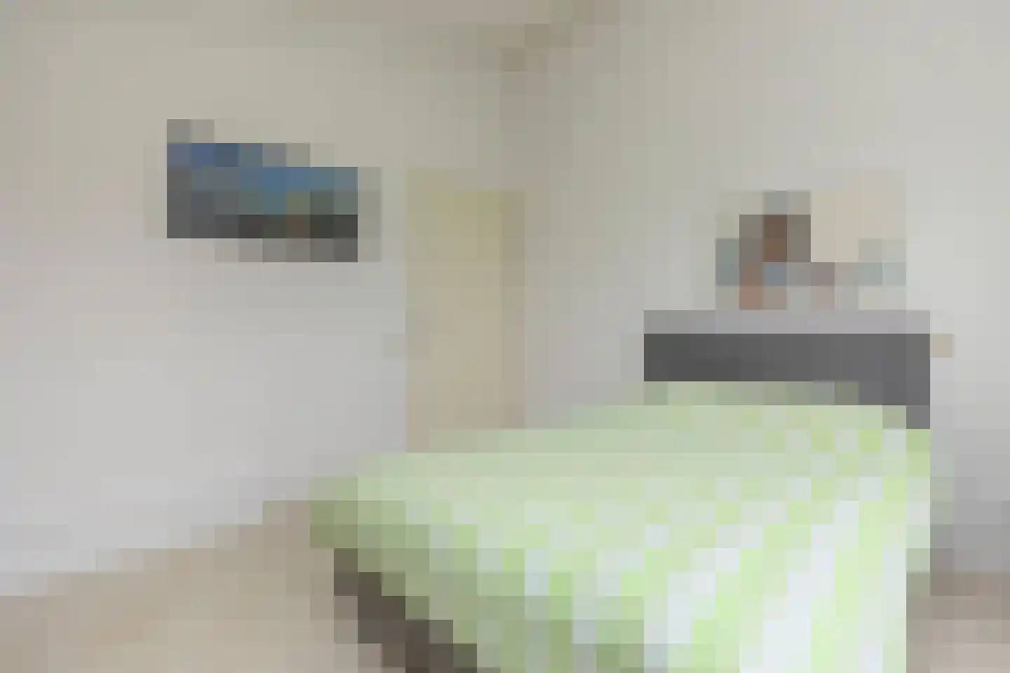 Wildenborchlaan 10 Spijkenisse thumbnail 41