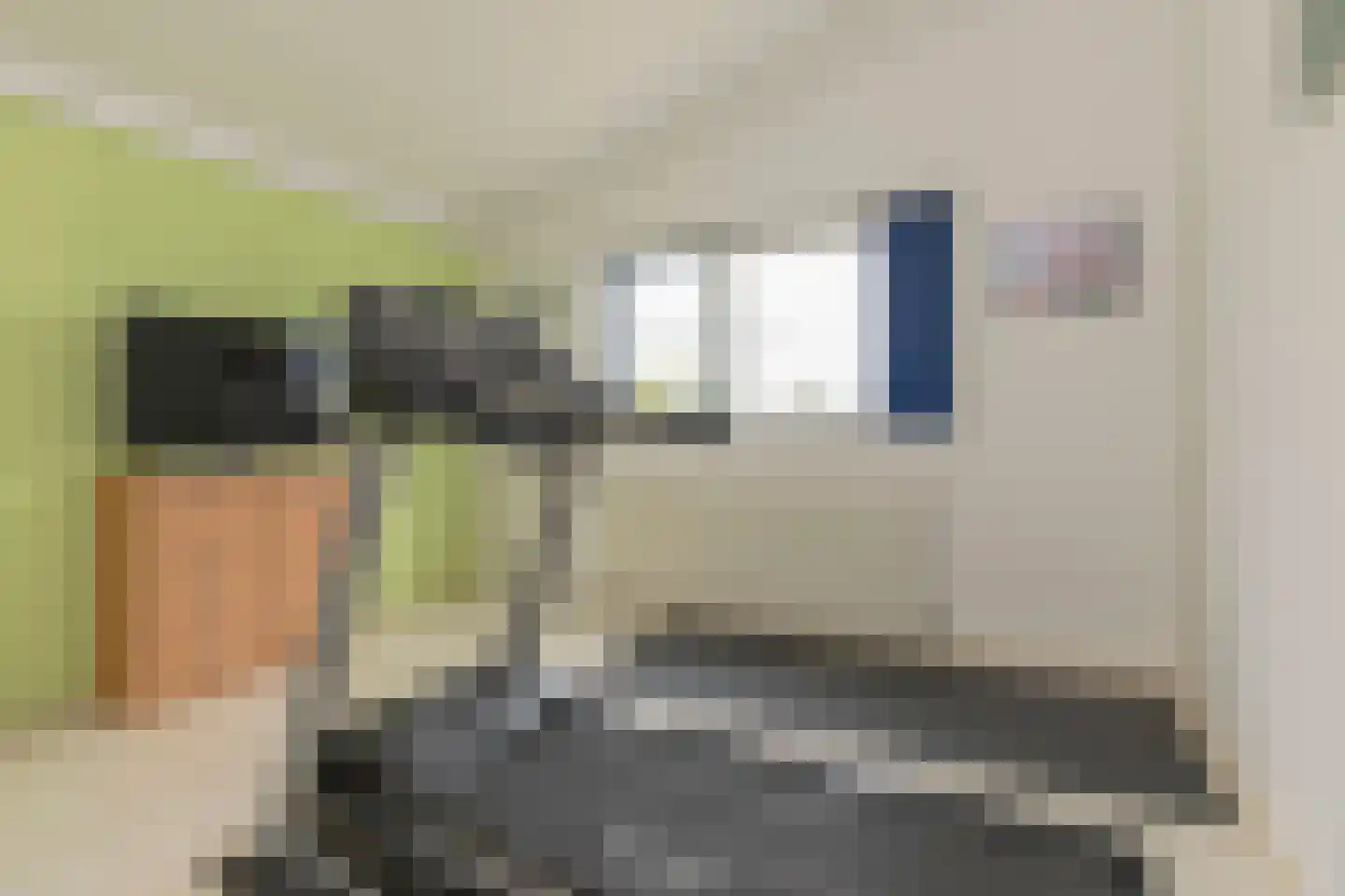 Wildenborchlaan 10 Spijkenisse thumbnail 43