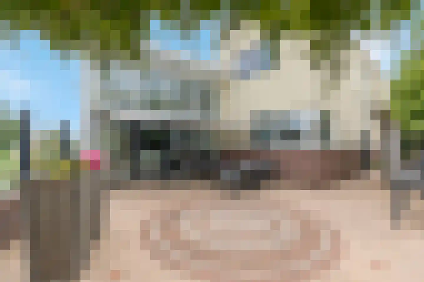 Wildenborchlaan 10 Spijkenisse thumbnail 50