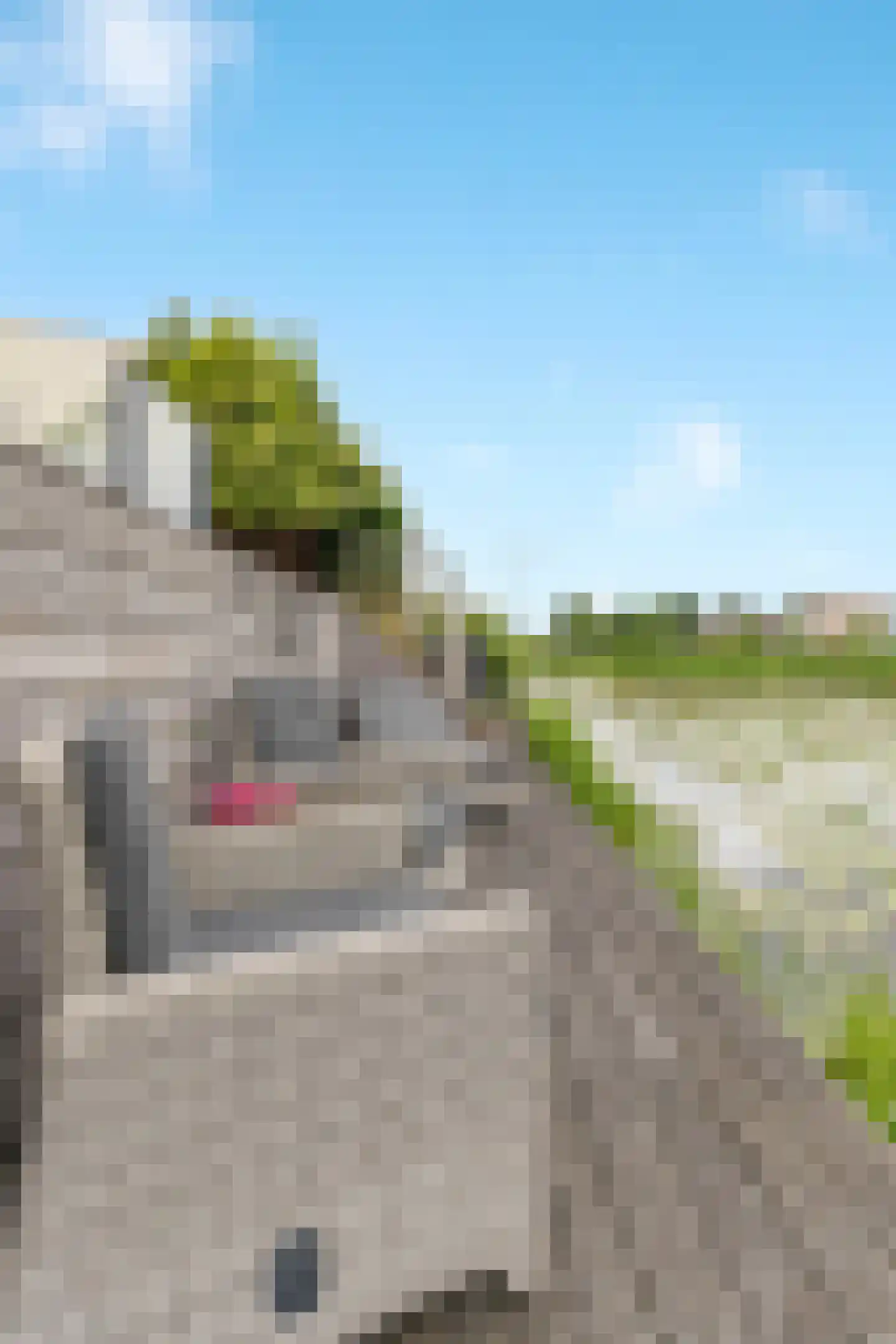 Wildenborchlaan 10 Spijkenisse thumbnail 57